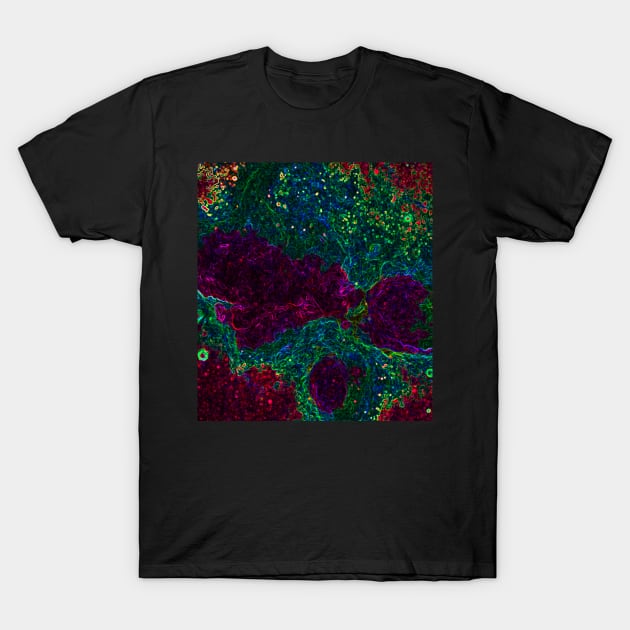 Black Panther Art - Glowing Edges 46 T-Shirt by The Black Panther